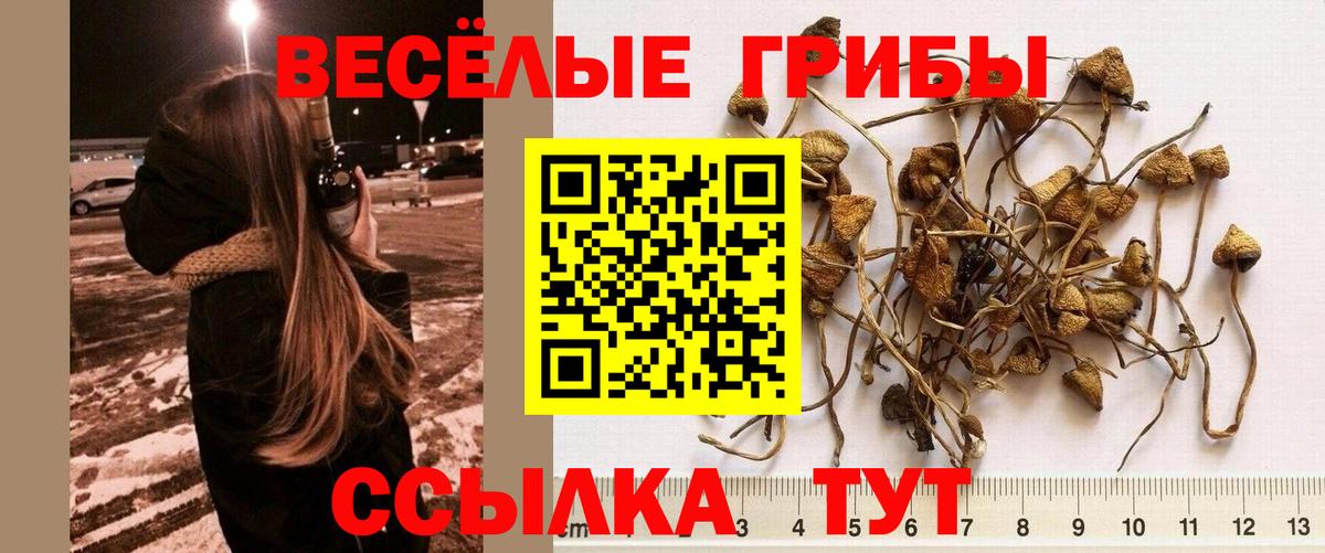 Галлюциногенные грибы прущие грибы  Галлюциногенные грибы GOLDEN TEACHER  Абакан  купить наркотики цена  Вход с VPN 